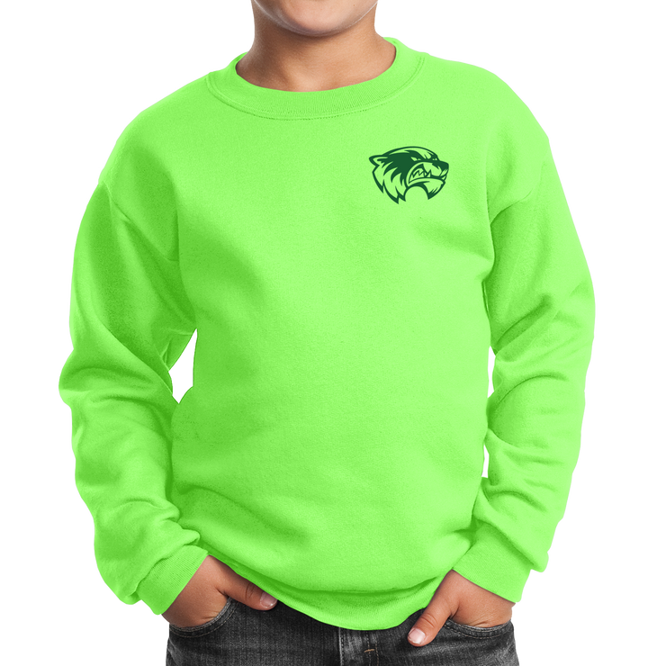 Port & Company Youth Core Fleece Crewneck Sweatshirt- Mascot Head